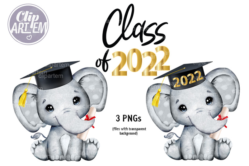 graduation-elephant-2022-in-cap-watercolor-clip-art-3-png-files