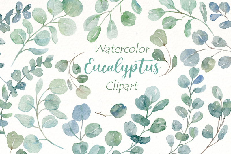 watercolor-eucalyptus-clipart-bundle-greenery-png-clipart