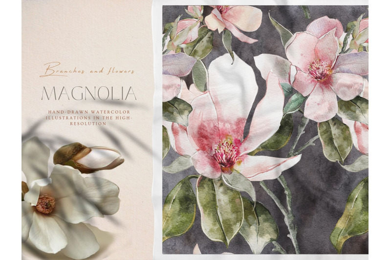 magnolia-blooming-collection-60-png