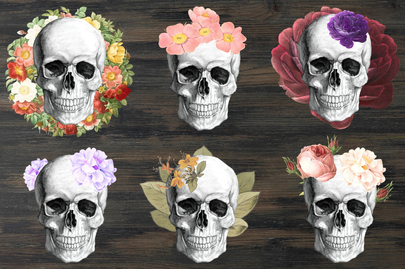 floral-skull-clipart