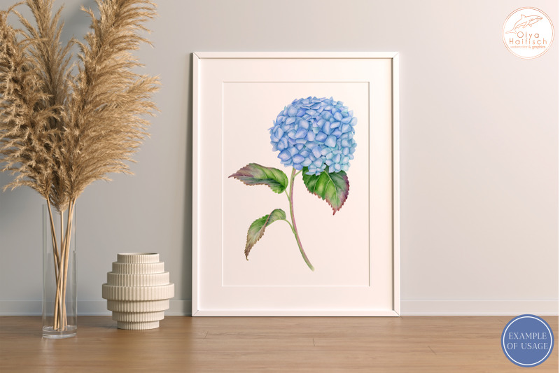 watercolor-blue-hydrangea-clipart-french-flower-sublimation-png