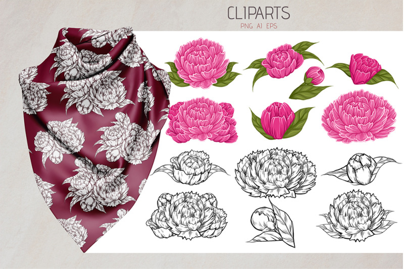 vector-set-of-patterns-frames-and-cliparts-lush-peonies
