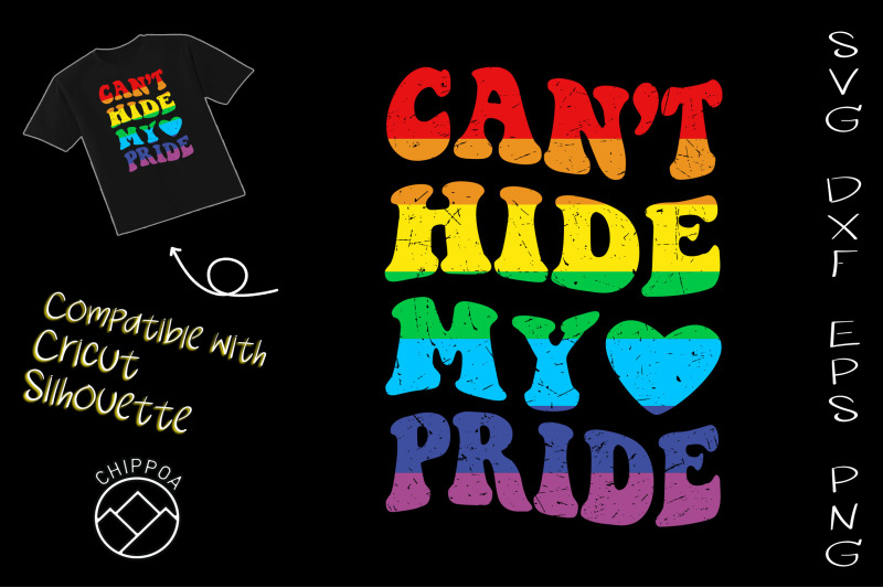 can-039-t-hide-my-pride-lgbt