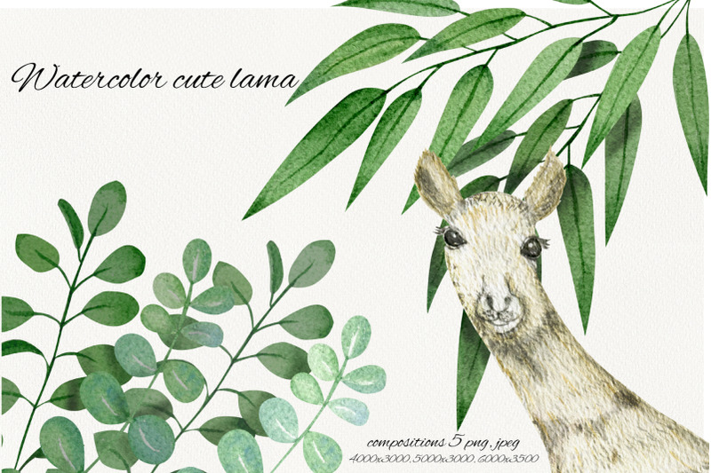 watercolor-cute-lamas-postcard