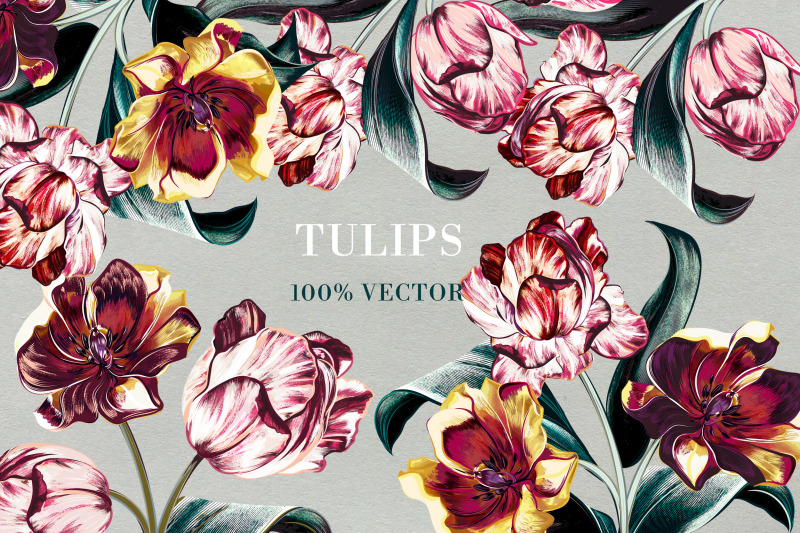 tulips-vector-set-in-vintage-classic-style