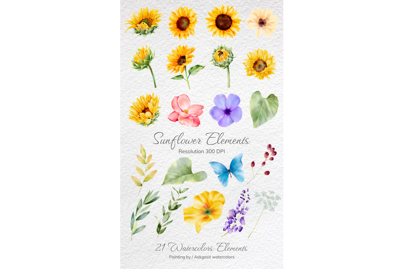 sunflower-watercolor-elements-2