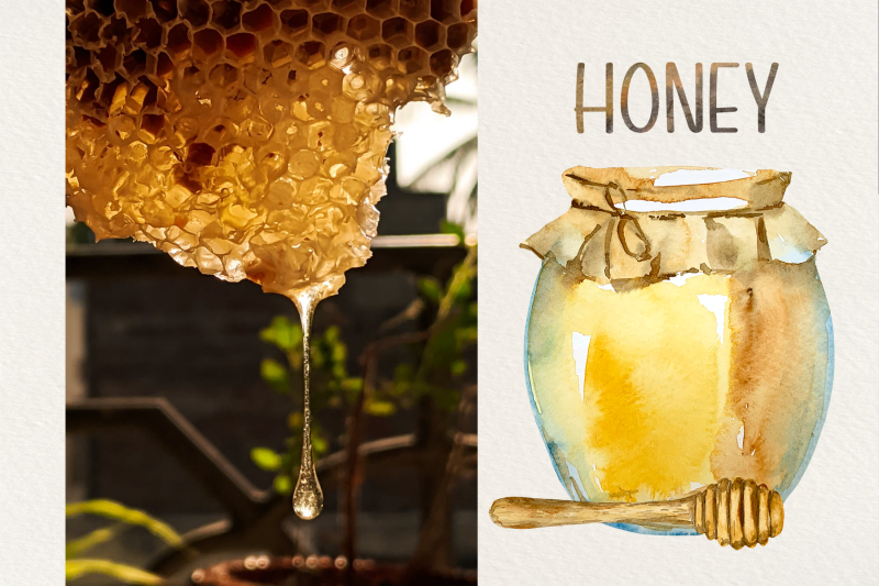 beekeeper-watercolour-clip-art-set