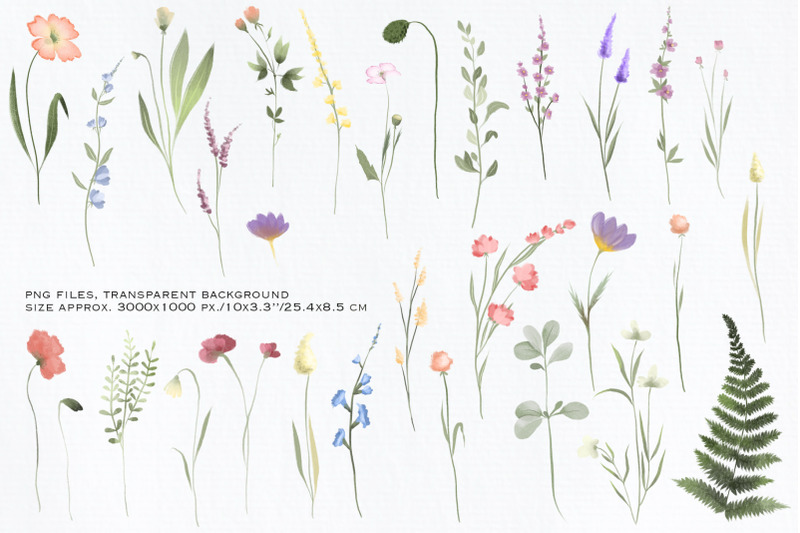 wild-greenery-and-flowers-clipart