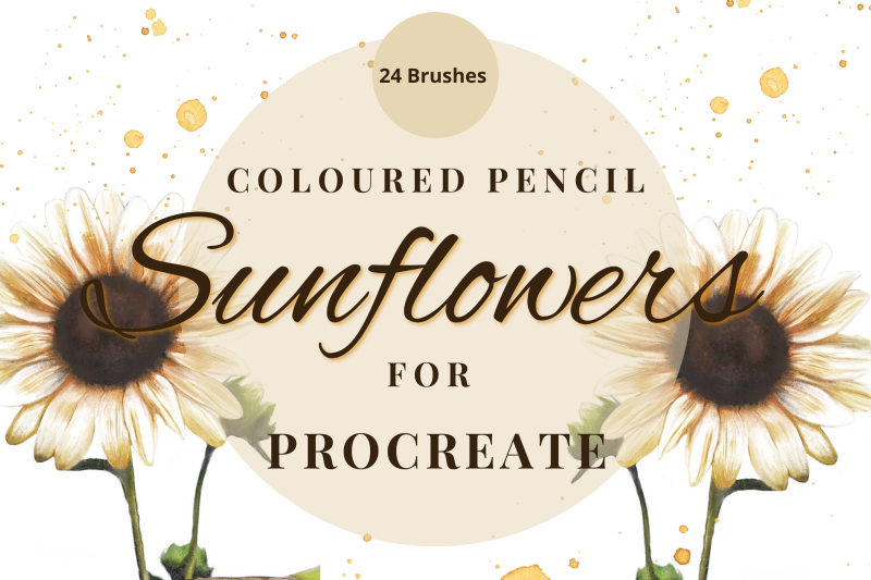 procreate-sunflower-coloured-pencil-toolkit