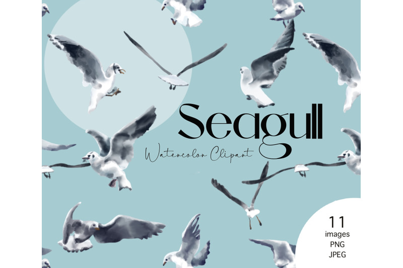 seagull-clipart-marine-clipart-watercolor-bird