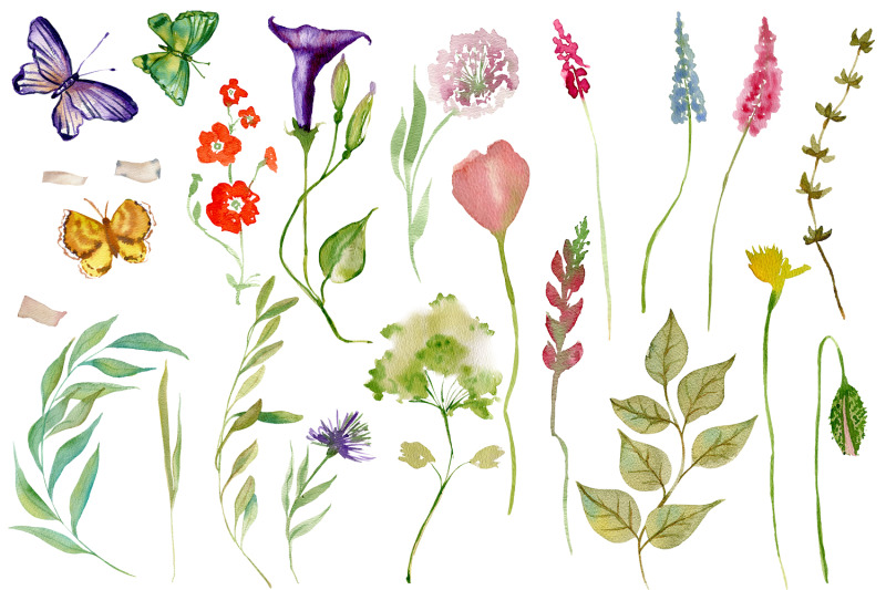 nature-collection-watercolour-wildflowers