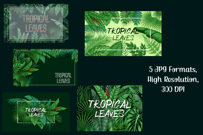 tropical-background-collection-vol-3