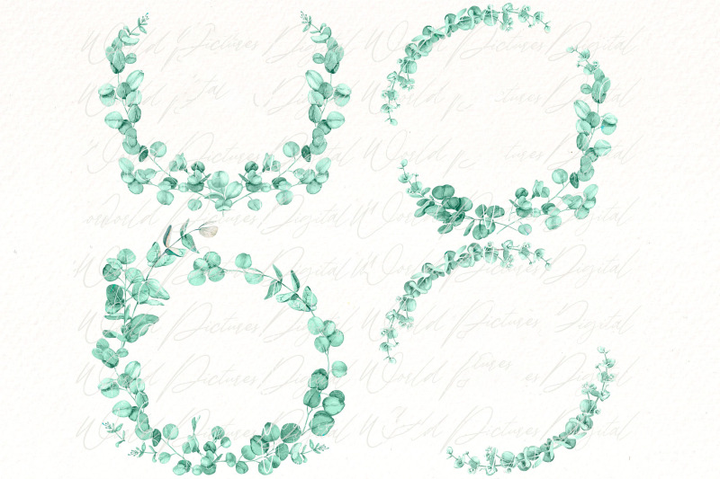 watercolor-eucalyptus-wreath-clipart-bundle-greenery-frame