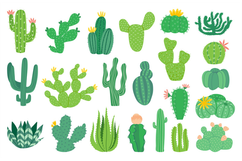 cactus-plant-cartoon-decorative-exotic-succulent-tropical-desert-pla