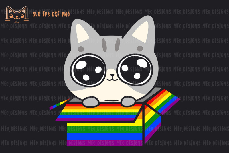 gay-cat-in-the-lgbt-rainbow-box