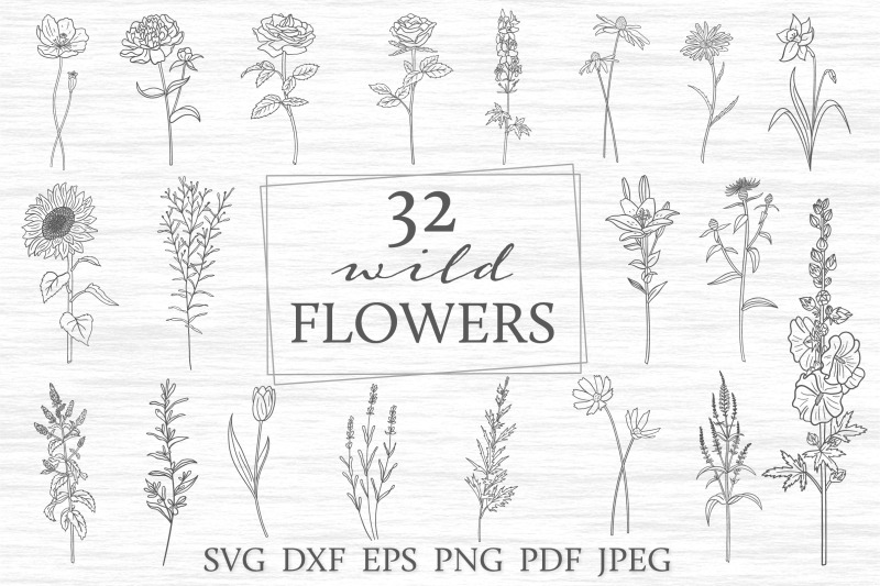 wildflowers-svg-field-flowers-svg-bundle
