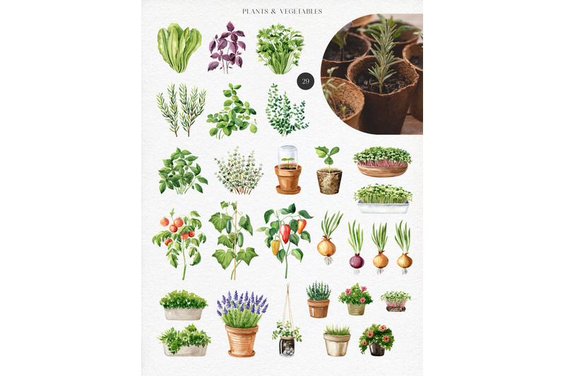 home-garden-watercolor-collection