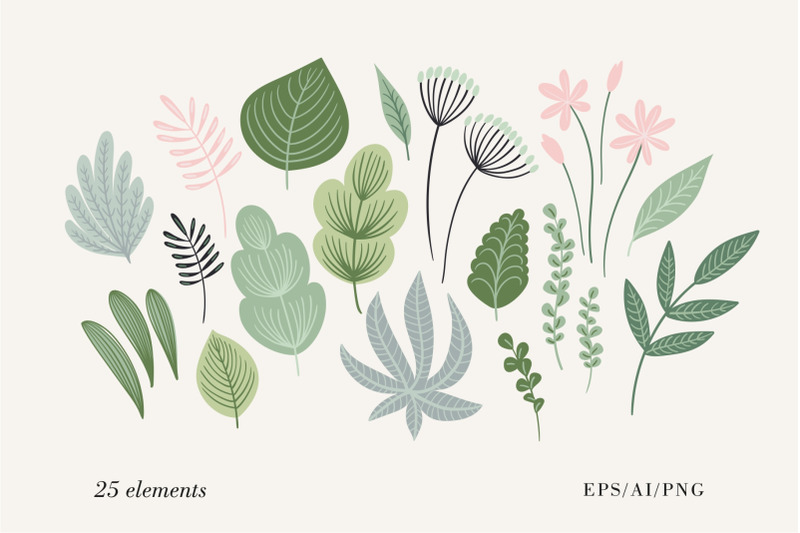 botanical-patterns-amp-elements