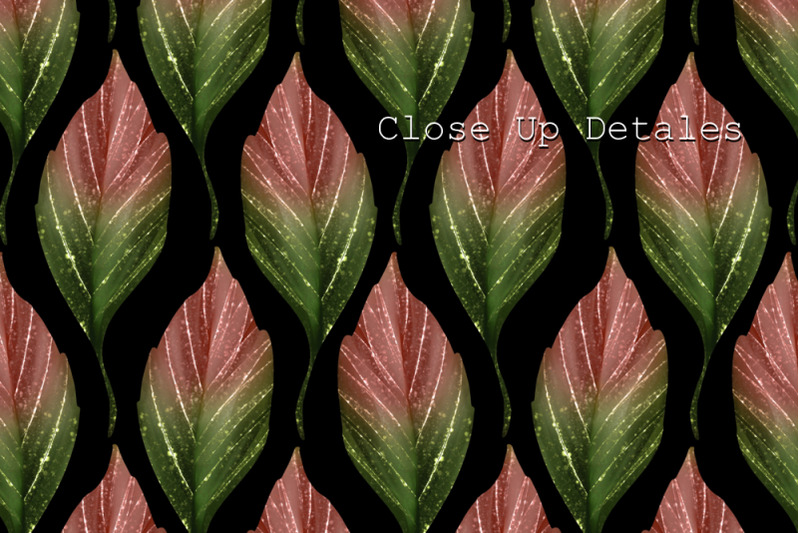 leaves-seamless-patterns-on-black-background