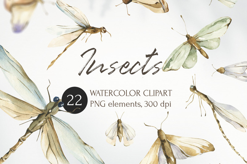 watercolor-insects-clipart-realistic-elements-butterfly-dragonfly