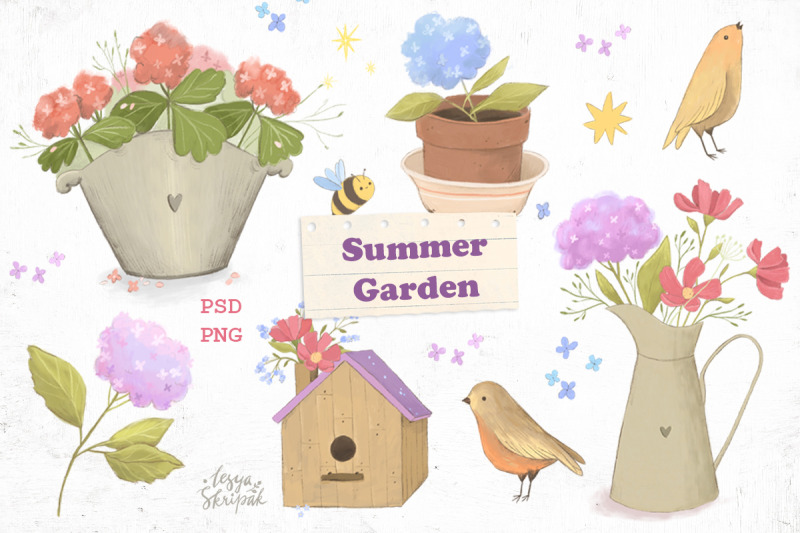 summer-garden-hydrangea-flower