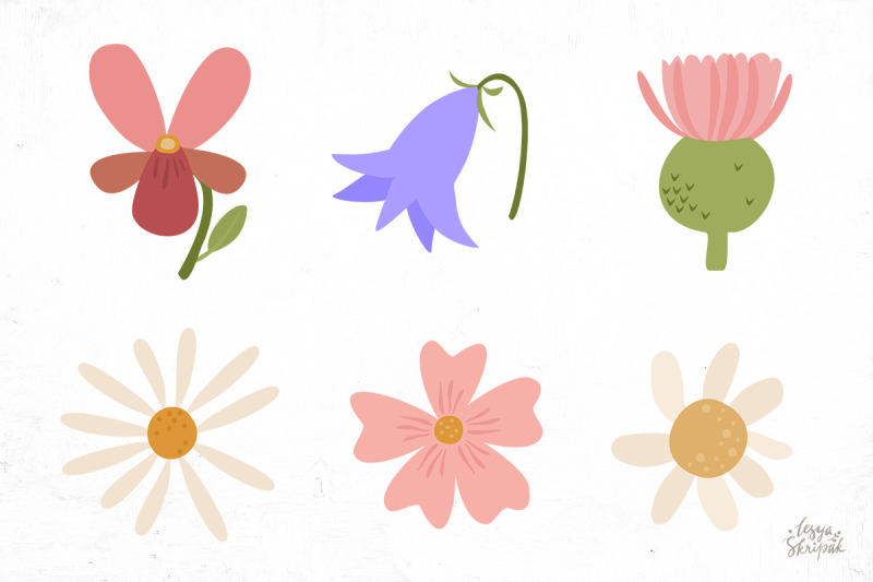wildflower-clipart-plants-png
