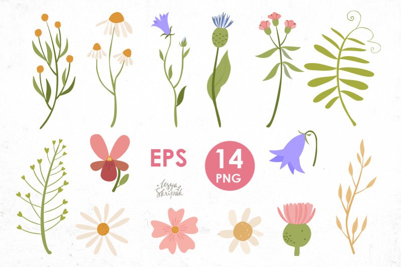 wildflower-clipart-plants-png