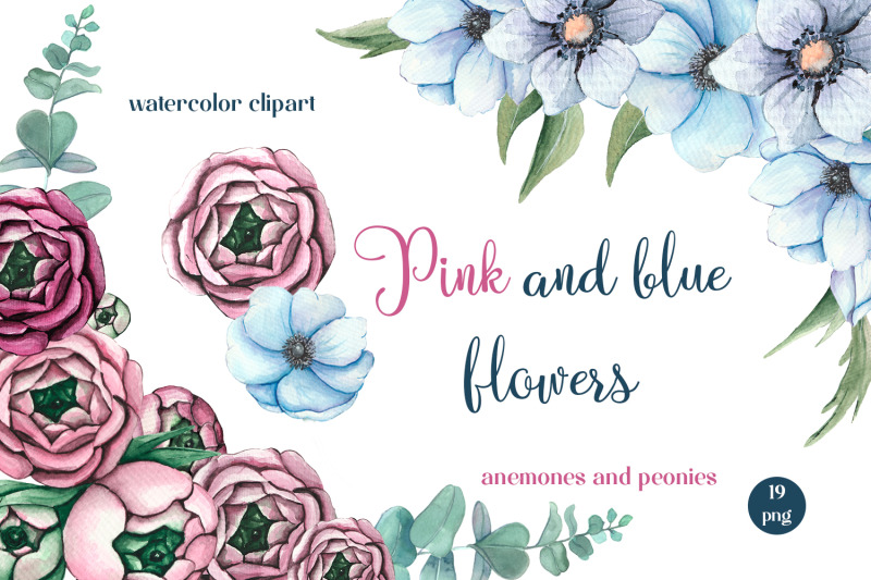 watercolor-pink-peonies-and-blue-anemones-flowers-clipart