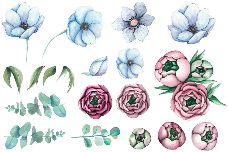 watercolor-pink-peonies-and-blue-anemones-flowers-clipart