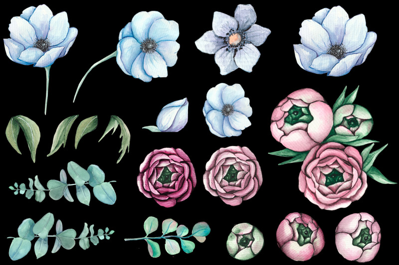 watercolor-pink-peonies-and-blue-anemones-flowers-clipart