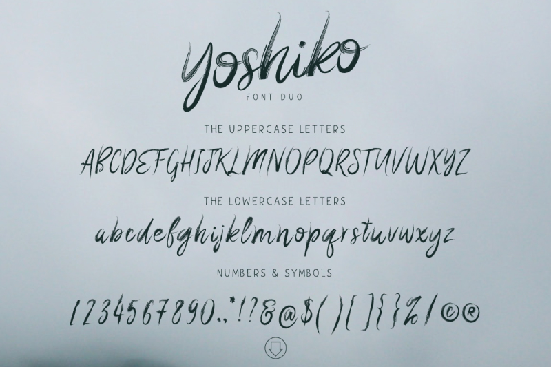 yoshiko-font-duo