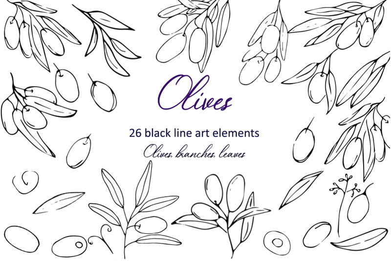 collection-olive-branches-line-art-elements