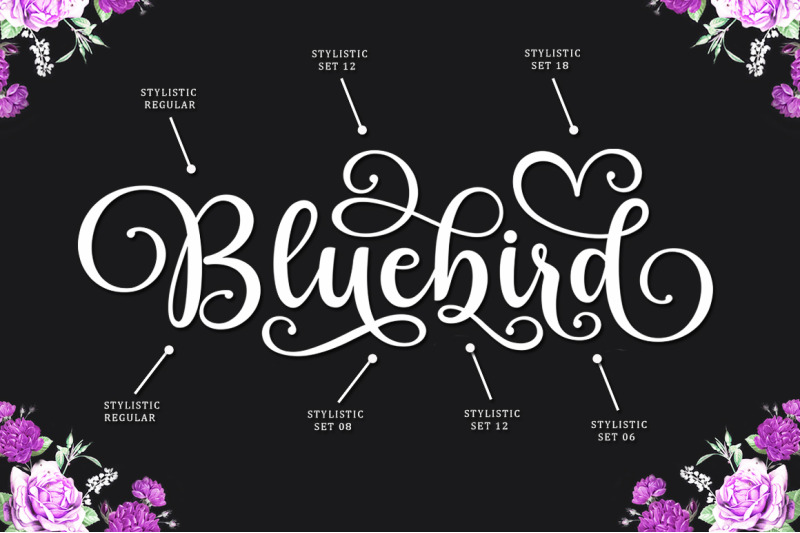 bluebird-alishanty