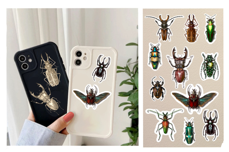 stickers-insect-beetle-illustration