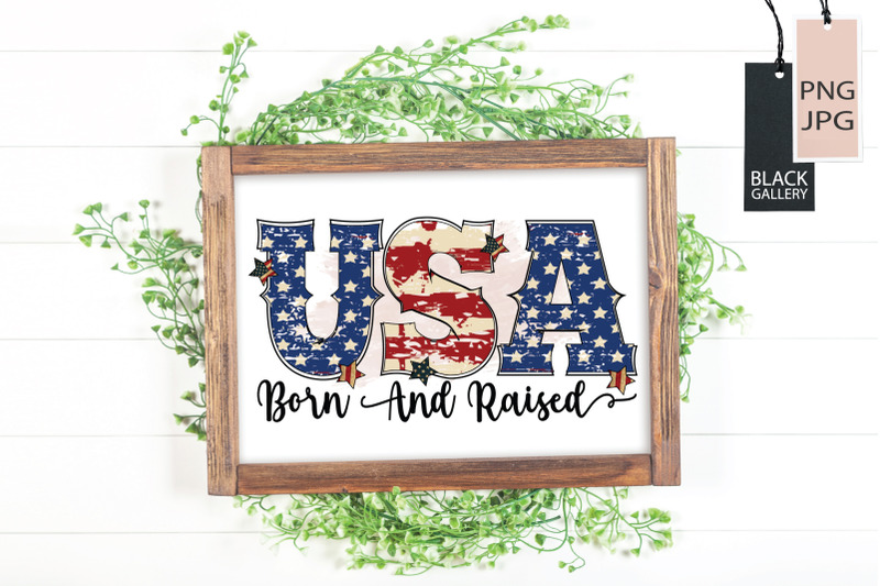 usa-born-and-raised