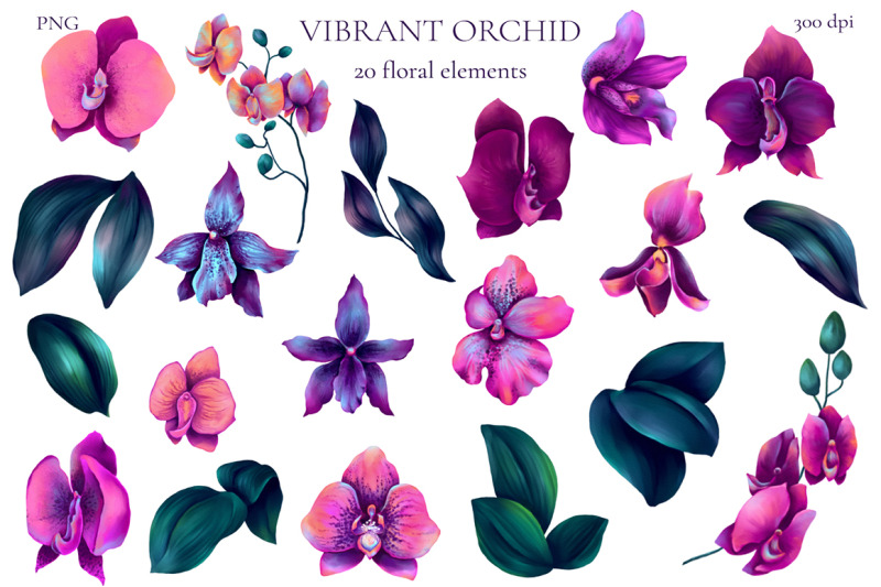 vibrant-orchid