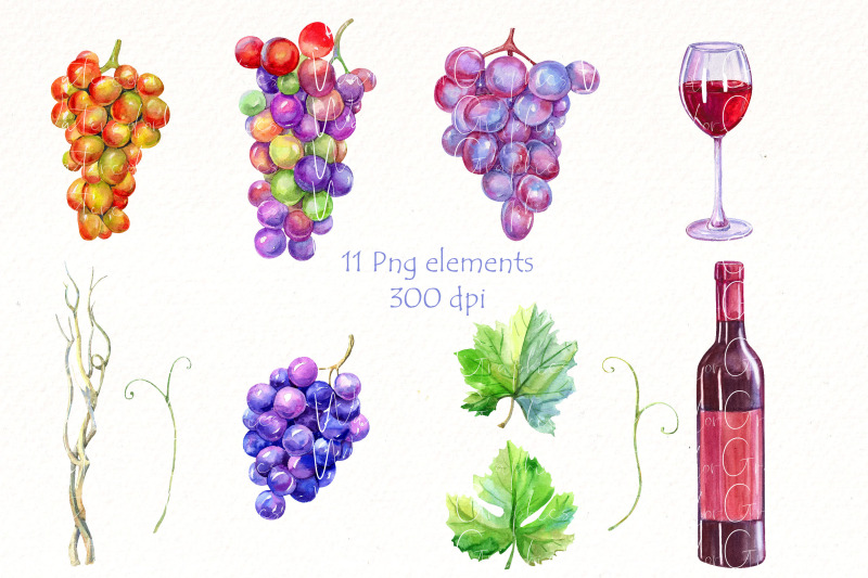 grapes-png-clipart-bundle-grapevine-clipart-food-clipart