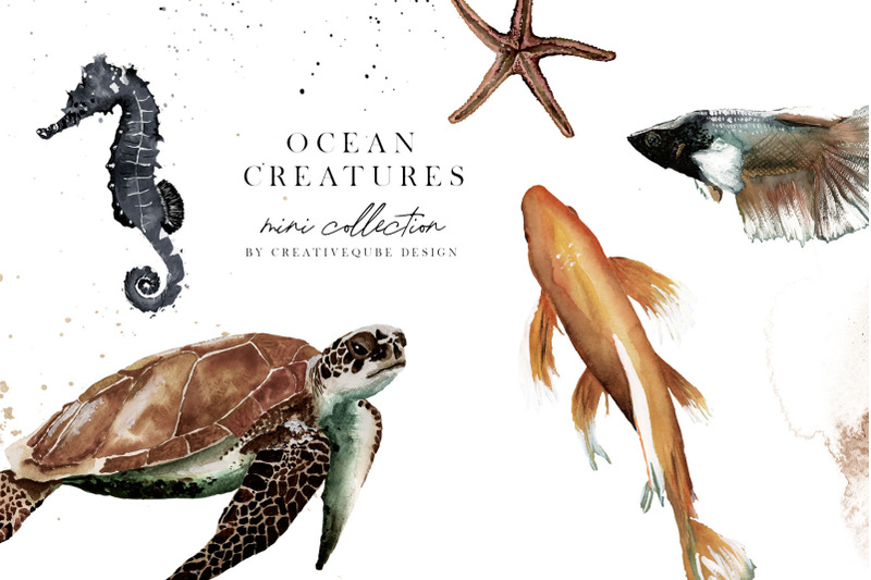 ocean-creatures-fish-watercolor-mini-collection
