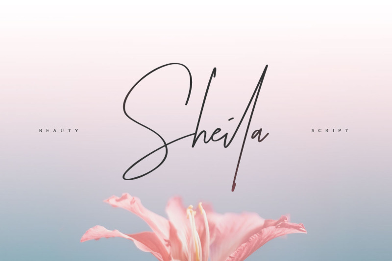 sheila-font