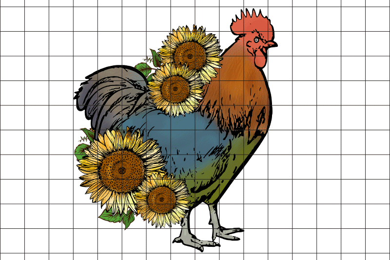 chicken-with-sunflower-graphic-png