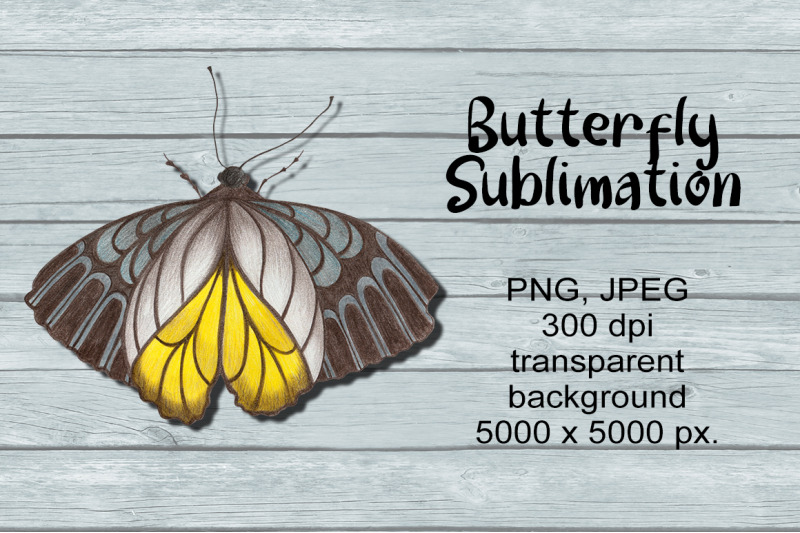 butterfly-sublimation-png-design