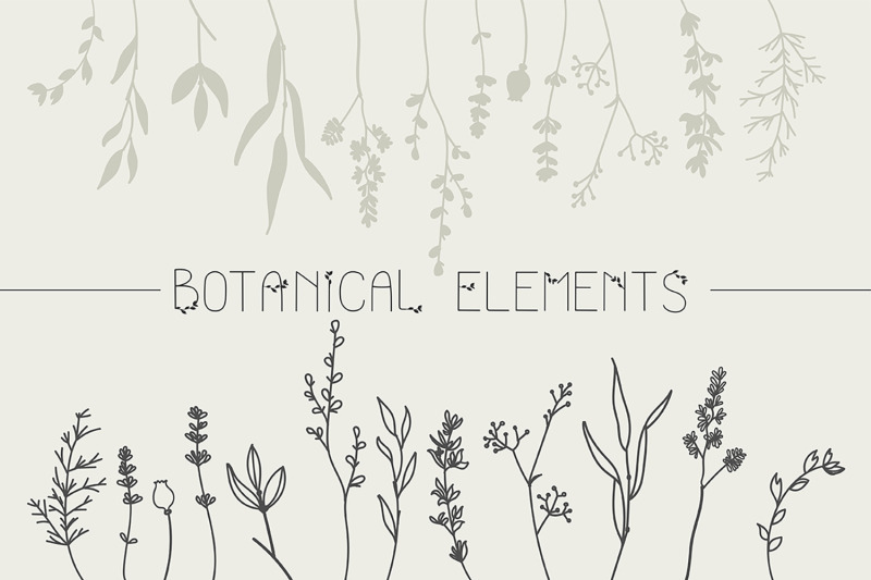 botanical-collection-illustrations