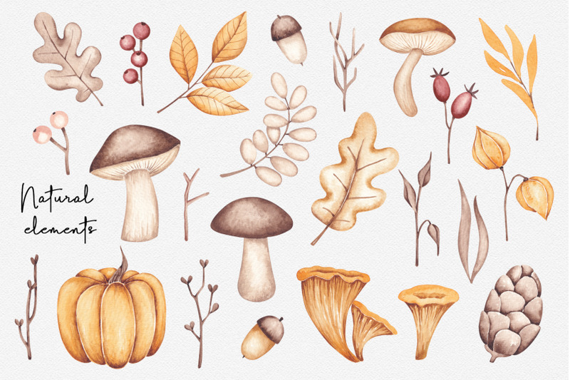 watercolor-set-autumn-forest