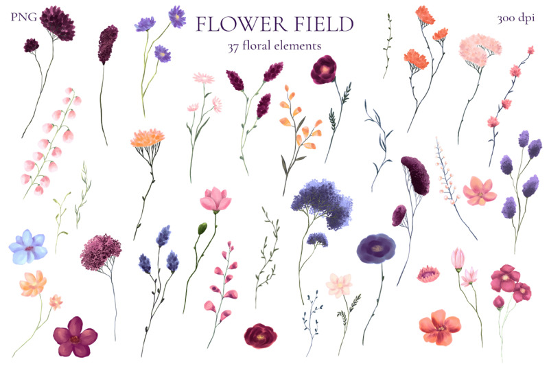 flower-field