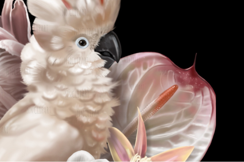 moluccan-cockatoo-parrot-watercolor-birds-bouquet