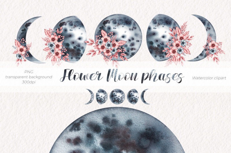 flower-moon-phases-watercolor-clipart-png