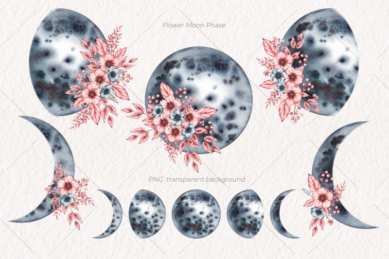 flower-moon-phases-watercolor-clipart-png