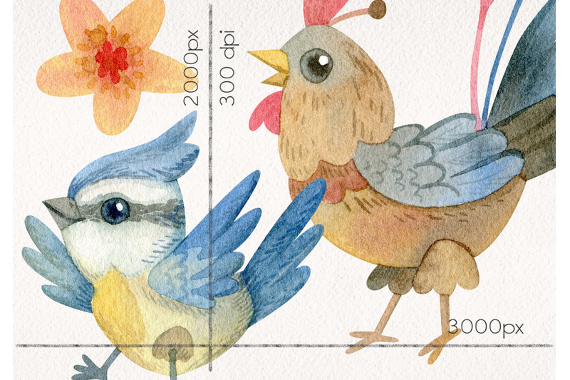 watercolor-birds-clipart