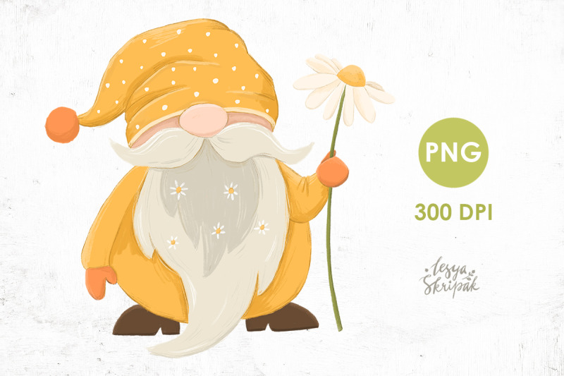 gnome-daisy-gnome-summer-daisy-clipart