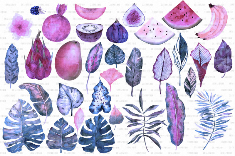amethyst-tropics-watercolor-clipart